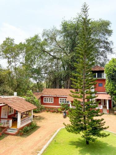 Hostal Nomadgao Vila Nova - Coworking And Coliving