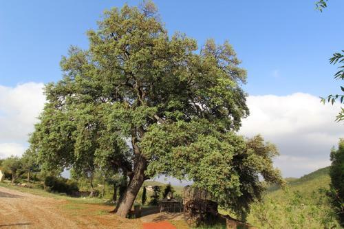Agroturismo Finca Ecologica Heredad La Boquilla