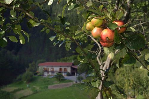 Hostal Agroturismo Zulueta