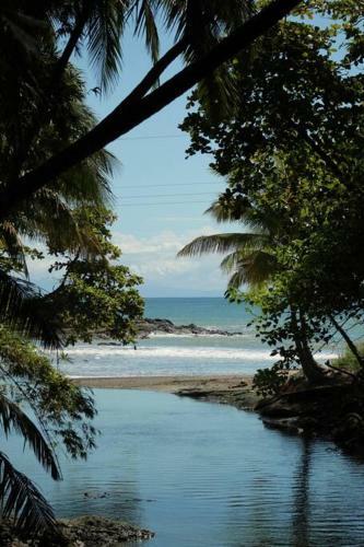 Jungle Lodge- Casa Caracoles-feeling Trees