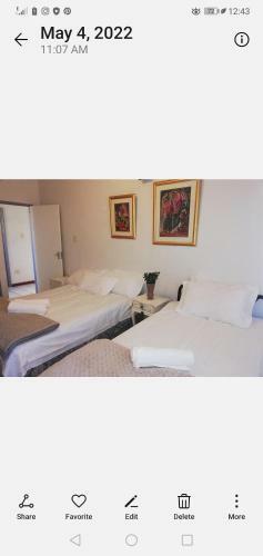 Agroturismo Blenheim Guest Farm