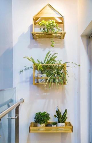 Apartamento 2911a Homestay Sapphire