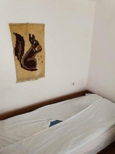Hostal Nesovic