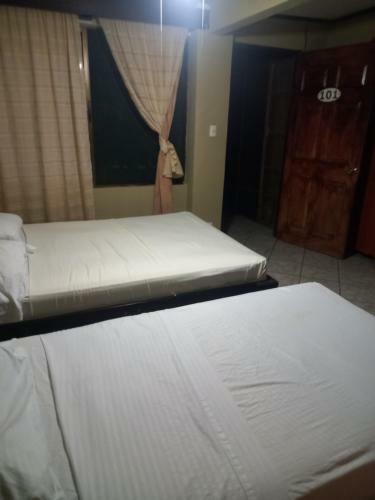 Bed & Breakfast (Hotel Carara) House Of Macaw