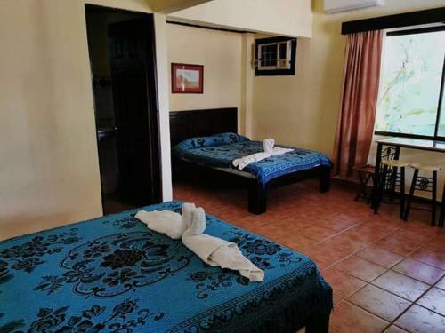 Bed & Breakfast (Hotel Carara) House Of Macaw