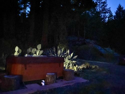 Glamping In The Redwoods
