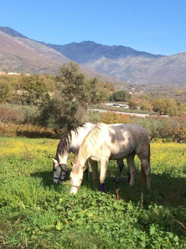 Bed & Breakfast Casa Rural Hosteria Cantarranas