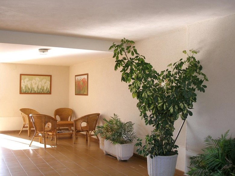 Apartamento Bah�a Blanca D�nia
