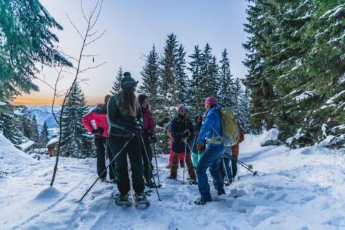 Apartamento Les Combins � Voll�ges-verbier Appt 8 Pers