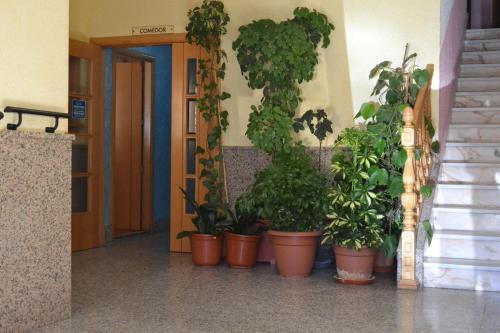 Hostal Vadillo