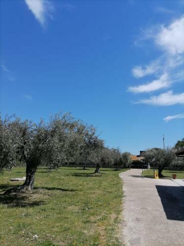 L'oasi Negli Ulivi