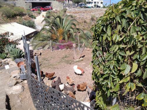 Agroturismo Finca El Arroyo