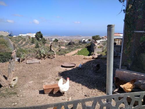Agroturismo Finca El Arroyo