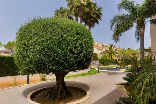 Bahia de Javea Apartment Montanar