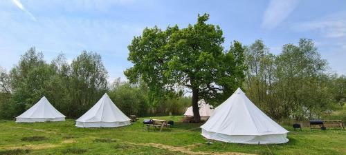 7 Meter Bell Tent - Up To 10 Persons Glamping