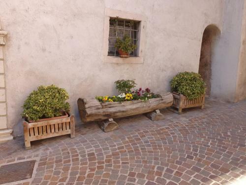 Apartamento Gardainn Cologna 2