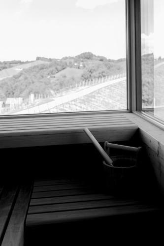 Lodge Winzer Appartements & H�user Kogler