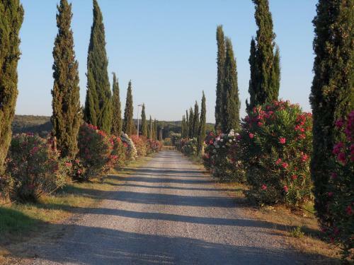 Agroturismo Fattoria La Steccaia