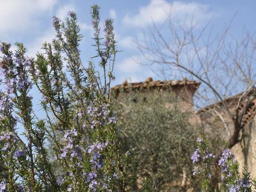 Apartamento Locazione Turistica Il Ginepro