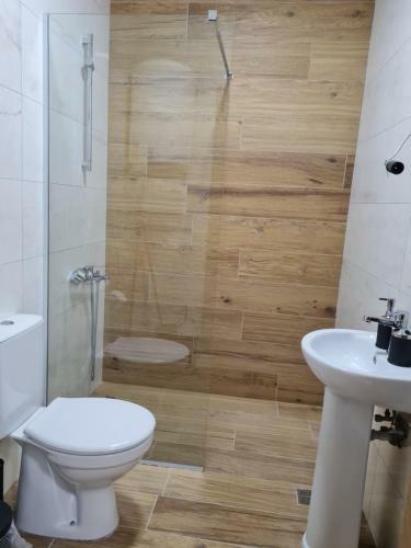 Bojana Apartment Penthouse