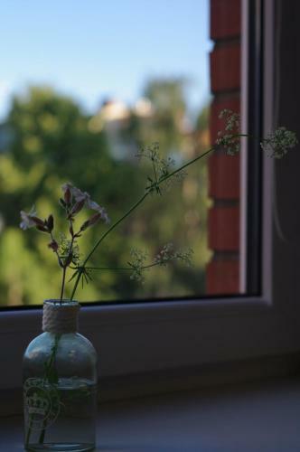 Vasaros Apartamentai Rueda