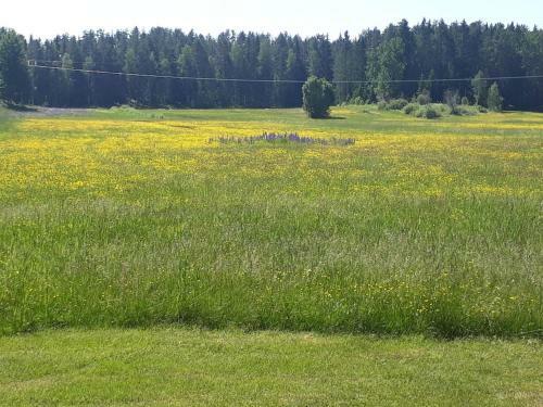 H�rlig Villa I Lugnt Omr�de