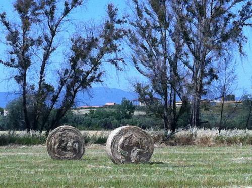 Agroturismo Agriturismo Il Giglio