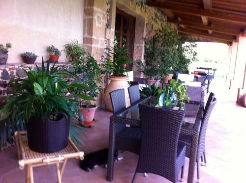Agroturismo Agriturismo Il Giglio