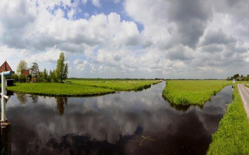 Bed & Breakfast Amsterdam Farmland