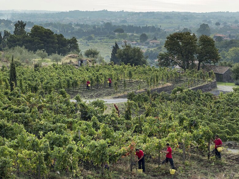 Agroturismo Monaci Delle Terre Nere