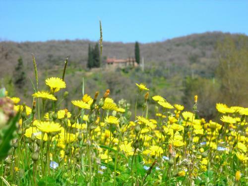 Agroturismo Allegro Agriturismo Argiano