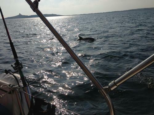 Boat & Sailing Torregrande Sinis Yachting