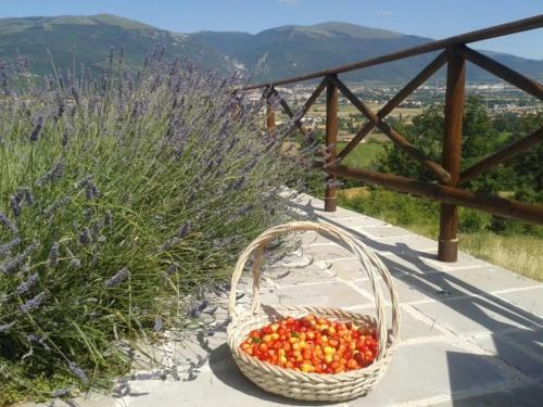 B&B Fonte Cugno