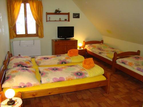 Hostal Modr� Pension