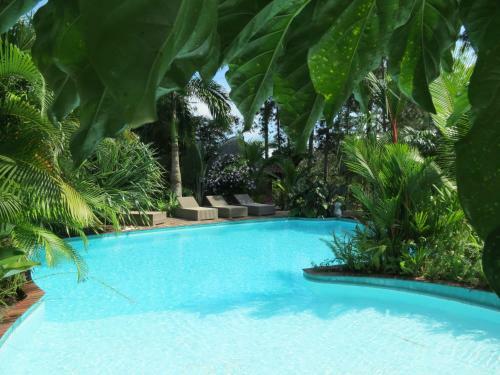 Bed & Breakfast Monkey Lodge Panama