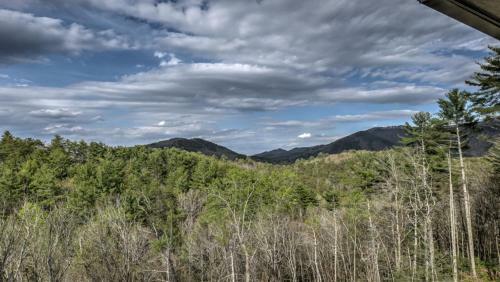 Honey Bear Lodge By Escape To Blue Ridge