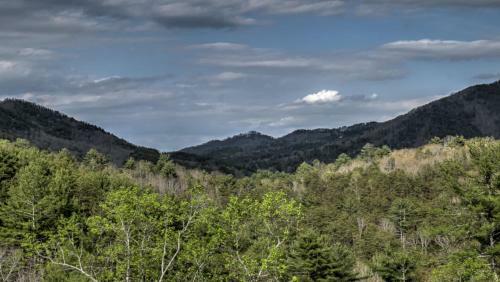 Honey Bear Lodge By Escape To Blue Ridge
