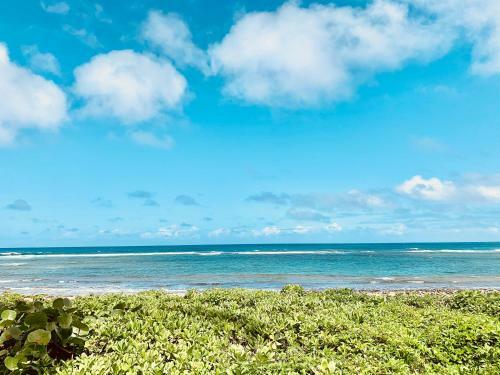 Apartamento Turtle Bay Villas 118