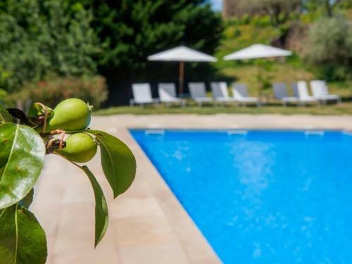 Premium Villa In Carrazeda de Ansia With Views