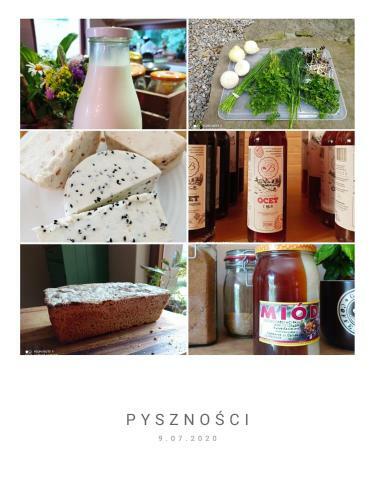 Osada Jelonki Wielka Puszcza