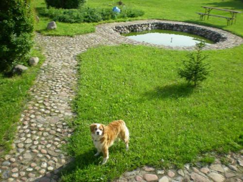 Holiday Home Na Mazurach Nad Jeziorem