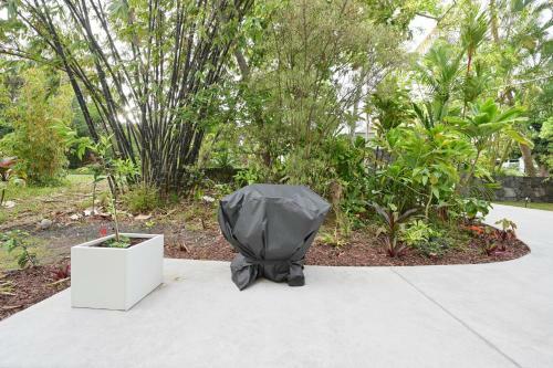 Secluded Jungle Penthouse With Rooftop Observation Deck