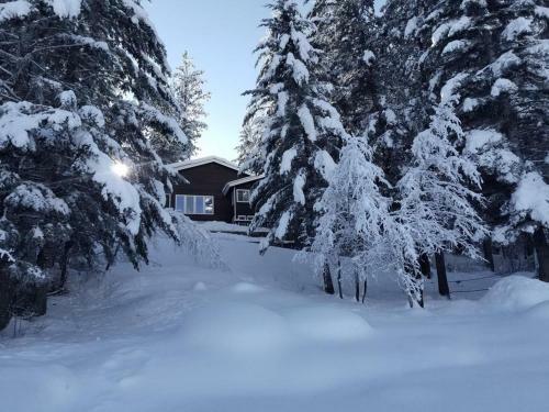 Pines On The Pond By Casago Mccall - Donerightmanagement