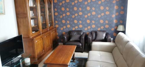Apartamento Logement Hyper Centre Champagnole (Jura)