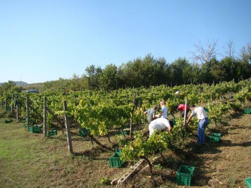 Agroturismo Agriturismo Sottotono