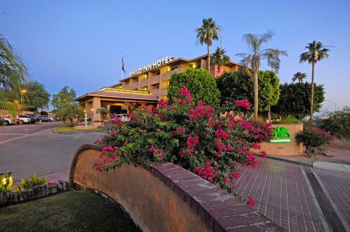 Hotel Shilo Inn Suites Yuma
