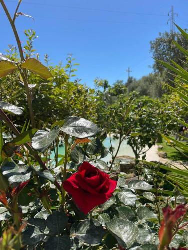 Casa Vacanze Il Primo Fiore