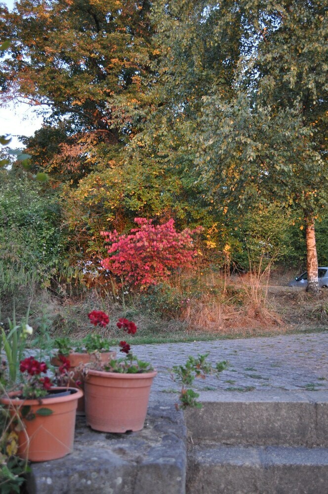 Hostal Auberge Les Liards