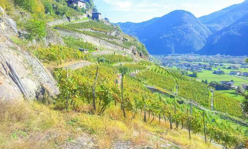 Apartamento Balcon Des Alpes