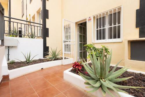 Apartamento Oceanfront Rainbow 14v5